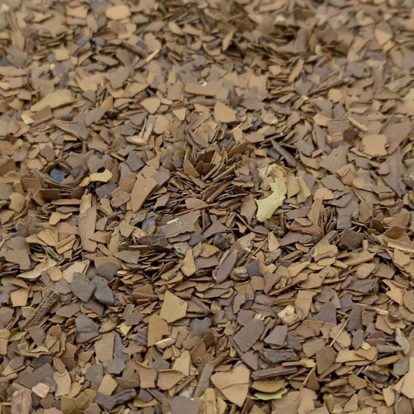 Roasted Yerba-maté