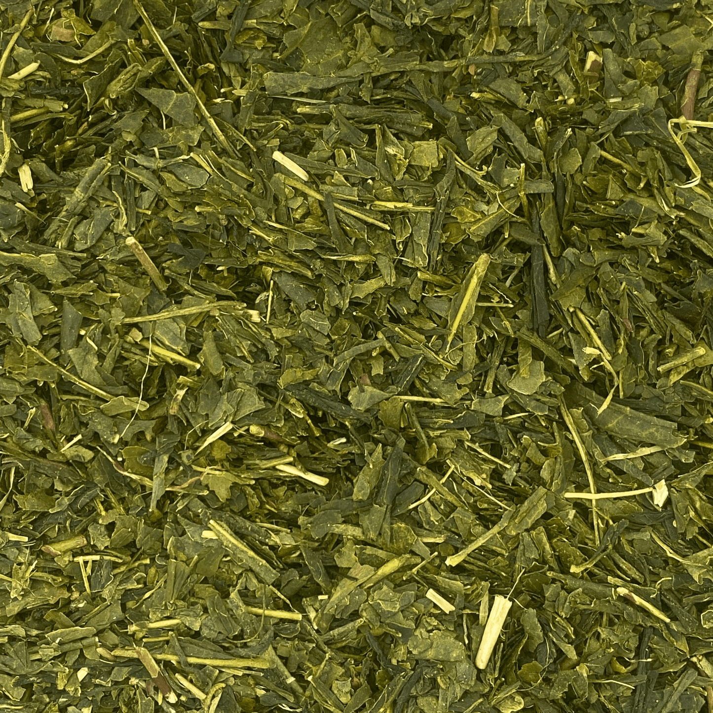 Sencha