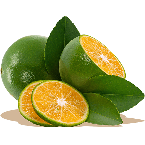 Fresh Calamansi 200g