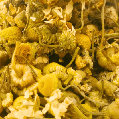 Chamomile Tea