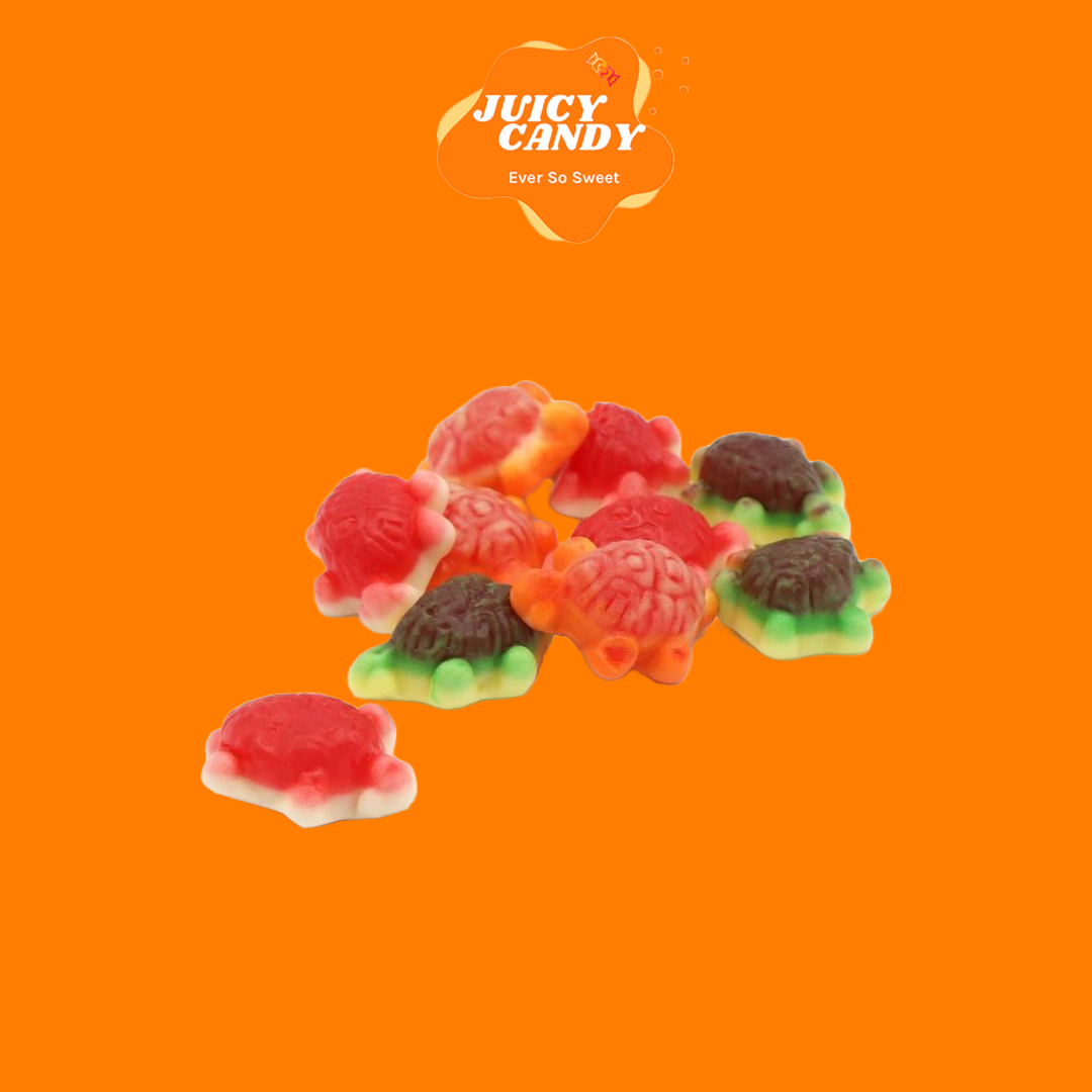 Jelly Turtles - 100G – Juicy Candy Co Ltd