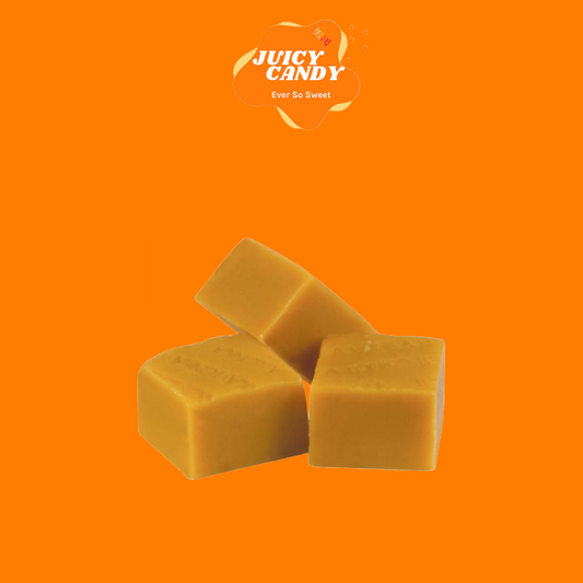 Lonka Vanilla Fudge 100G (Vegetarian)