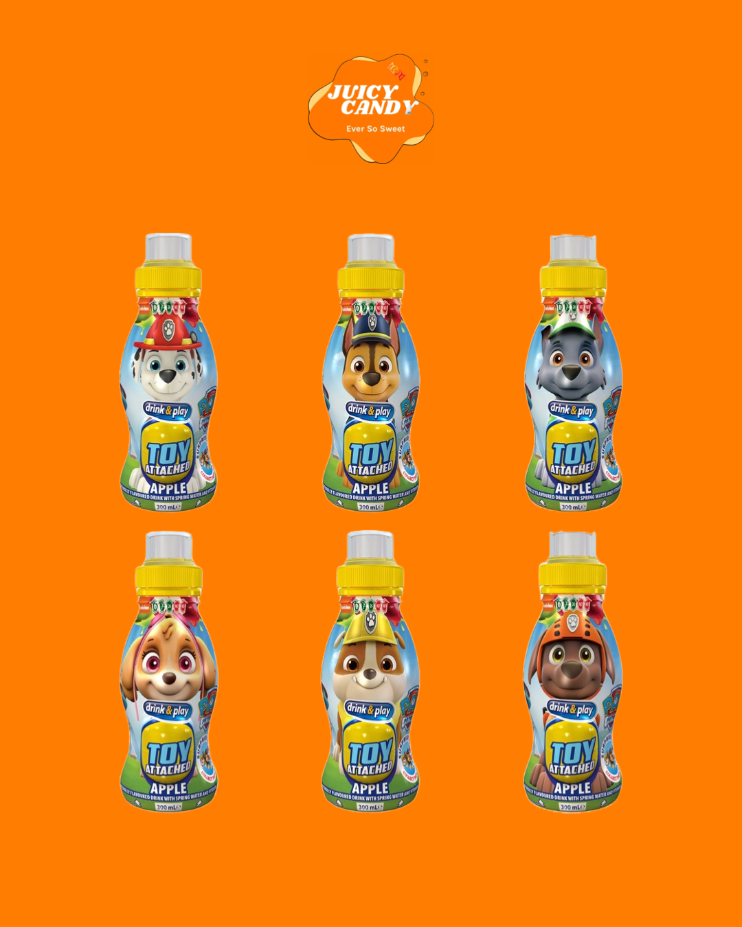 Paw Patrol Drink - Surprise Toy