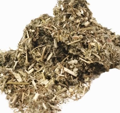 Mugwort Tea