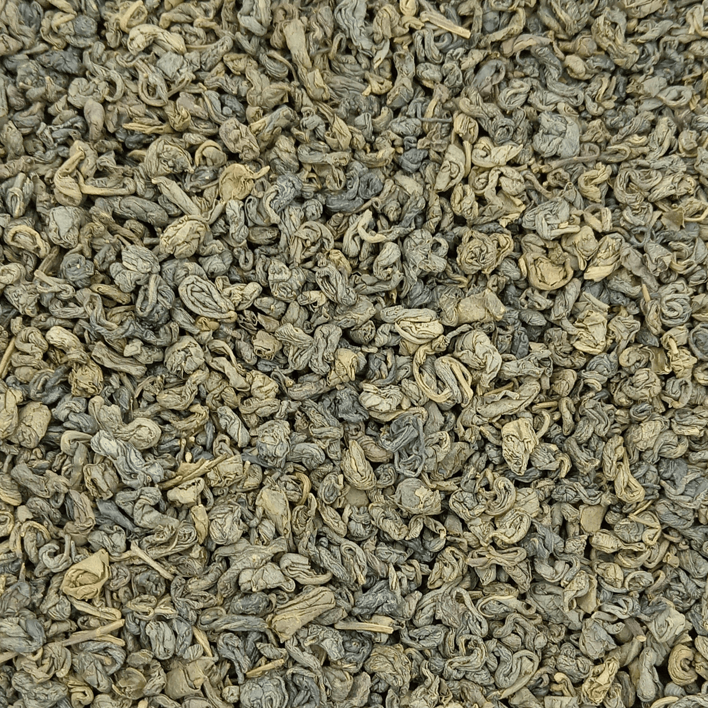 Organic Osprey Gunpowder