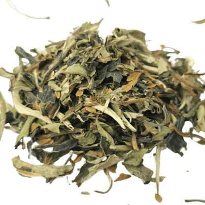 Pai Mu Tan (White Peony)