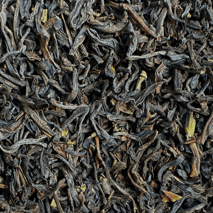 The Clocktower All Day Blend